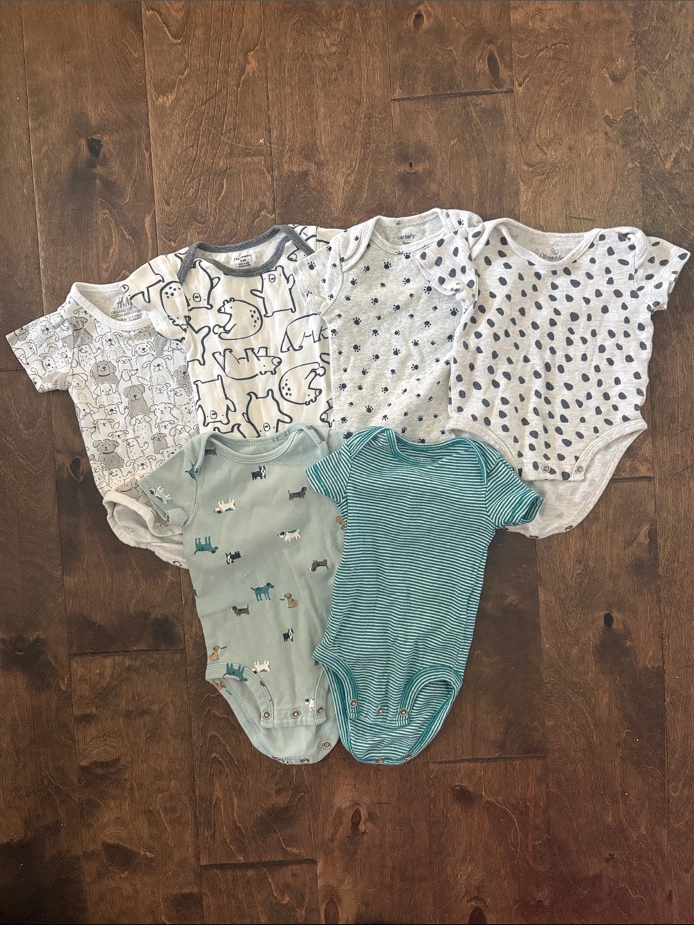 Bundle of SIX 6 Baby Boys Short Sleeved Onesies - Dogs, Blue, Animals, Gray 3M